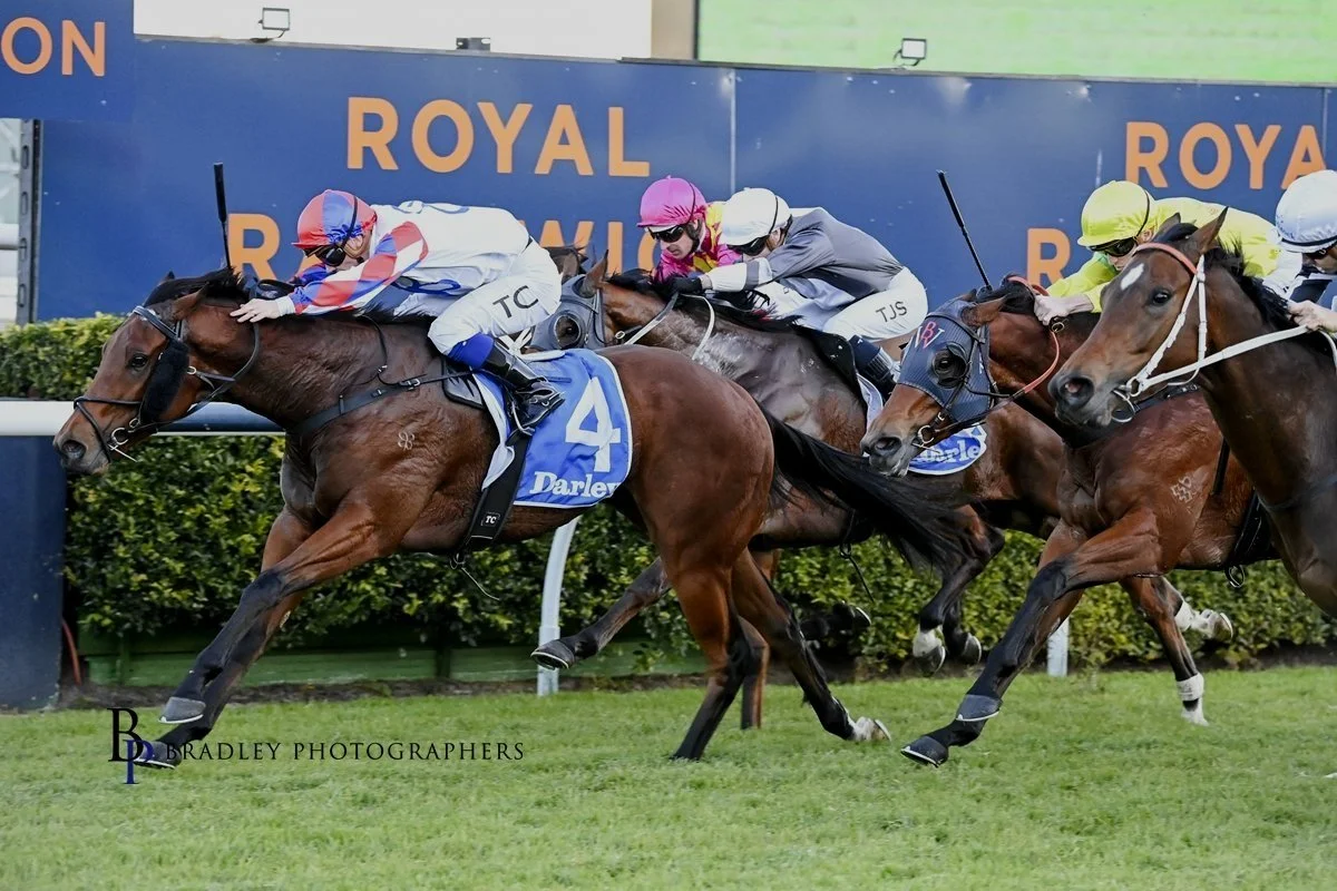 Trainer donna discount